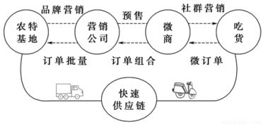 互聯網銷售 為浙江農特基地全產業鏈注入新動能