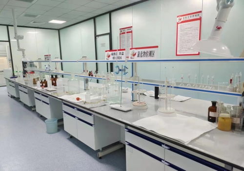 河北邢臺(tái) “小巨人”成香餑餑，領(lǐng)跑產(chǎn)業(yè)技術(shù)開發(fā)加速度